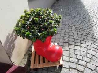IMG_7119.JPG