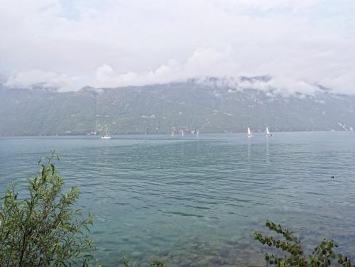P1150443.JPG