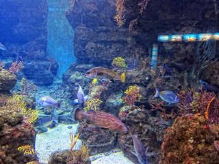 IMG_8478.JPG
