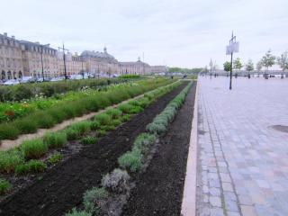 IMG_5320.JPG