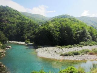 IMG_2611.JPG