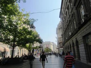 IMG_2805.JPG