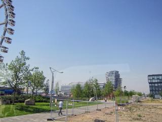 IMG_2621.JPG