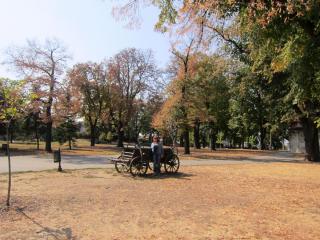 IMG_2772.JPG