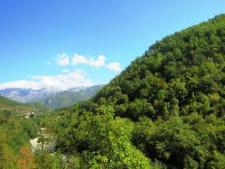 IMG_2577.JPG