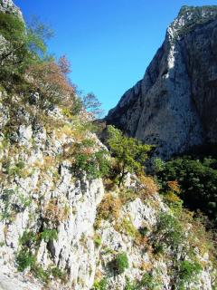 IMG_2561.JPG