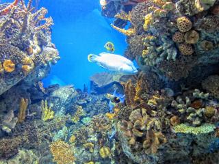 IMG_8459.JPG