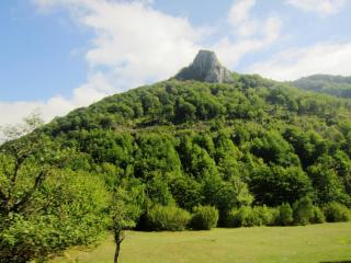 IMG_2613.JPG