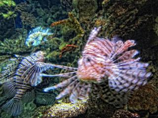 IMG_8461.JPG