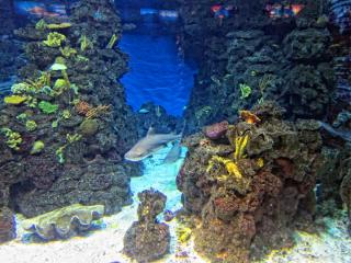 IMG_8450.JPG