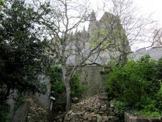 IMG_4741.JPG