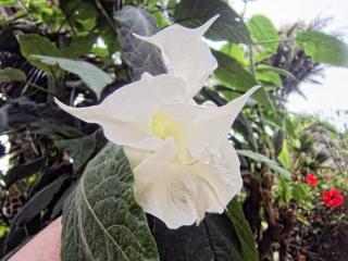 IMG_2551.JPG