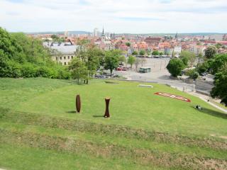 IMG_7146.JPG