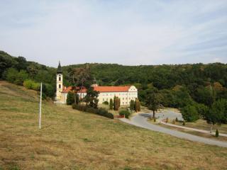 IMG_2936.JPG