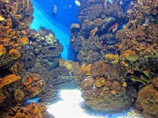 IMG_8458.JPG