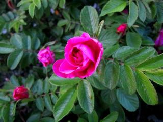 IMG_6402.JPG
