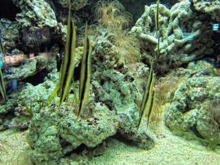 IMG_8503.JPG