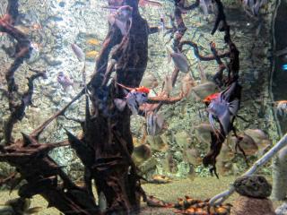 IMG_8493.JPG