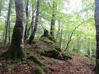 IMG_2627.JPG