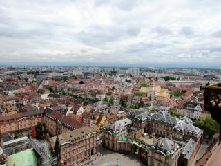 IMG_7035.JPG
