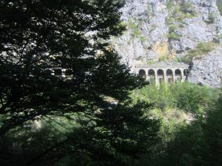 IMG_2676.JPG