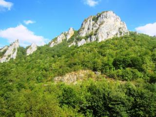 IMG_2666.JPG
