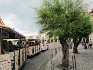 IMG_8059.JPG