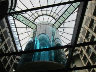 IMG_0899.JPG