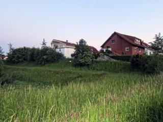 IMG_2047.JPG