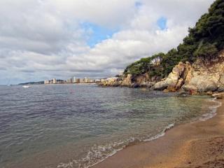 IMG_8856.JPG