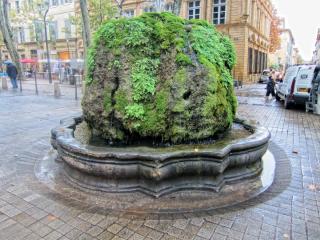 IMG_9201.JPG
