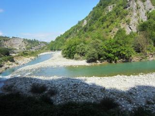 IMG_2653.JPG