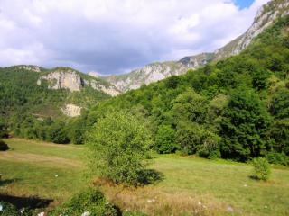 IMG_2683.JPG