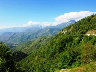 IMG_2593.JPG