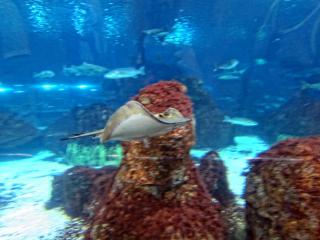 IMG_8474.JPG