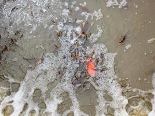 IMG_5027.JPG