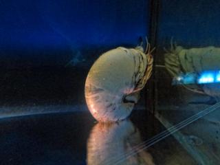 IMG_8437.JPG
