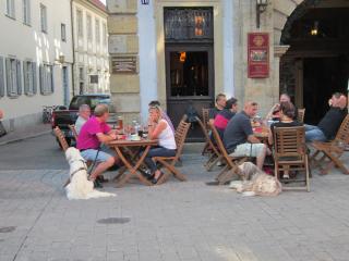 IMG_2805.JPG