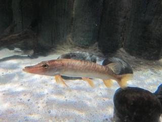 IMG_0837.JPG