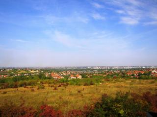 IMG_2870.JPG