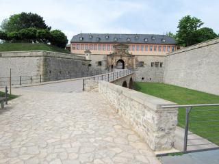 IMG_7133.JPG