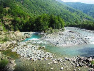 IMG_2650.JPG
