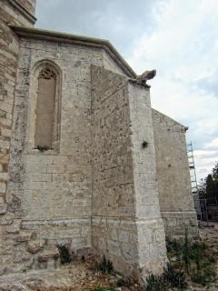 IMG_7721.JPG