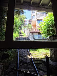 IMG_8212.JPG