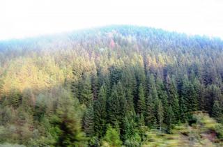 IMG_2718a.JPG