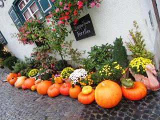 IMG_1937.JPG