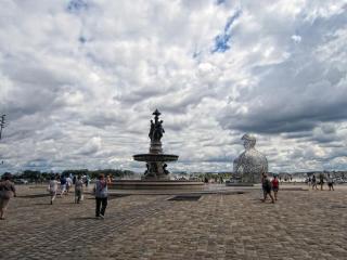 IMG_7878.JPG