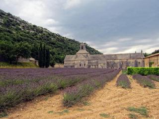 IMG_7642.JPG