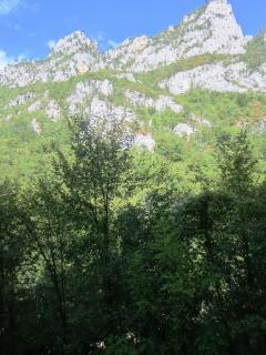 IMG_2680.JPG
