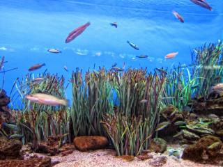 IMG_8441.JPG